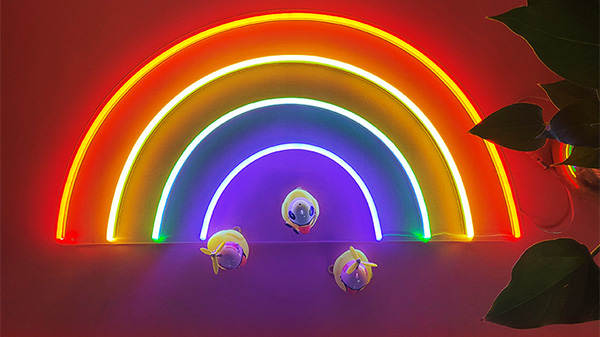 霓虹燈的材料分類(lèi)有哪些？萬(wàn)世騰為您解答